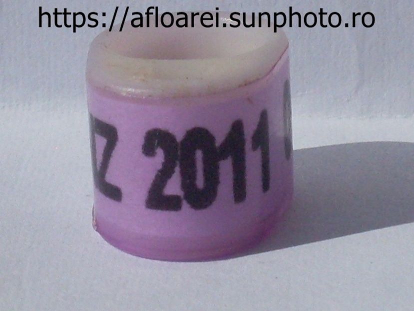 NZ PRNZ 2011 - NEW ZEELAND