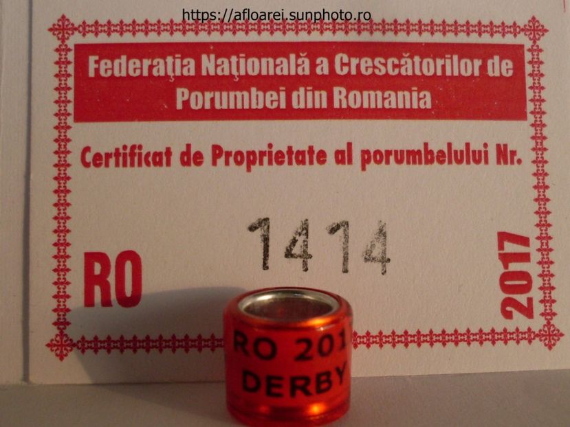 ro 2017 derby - ROMANIA