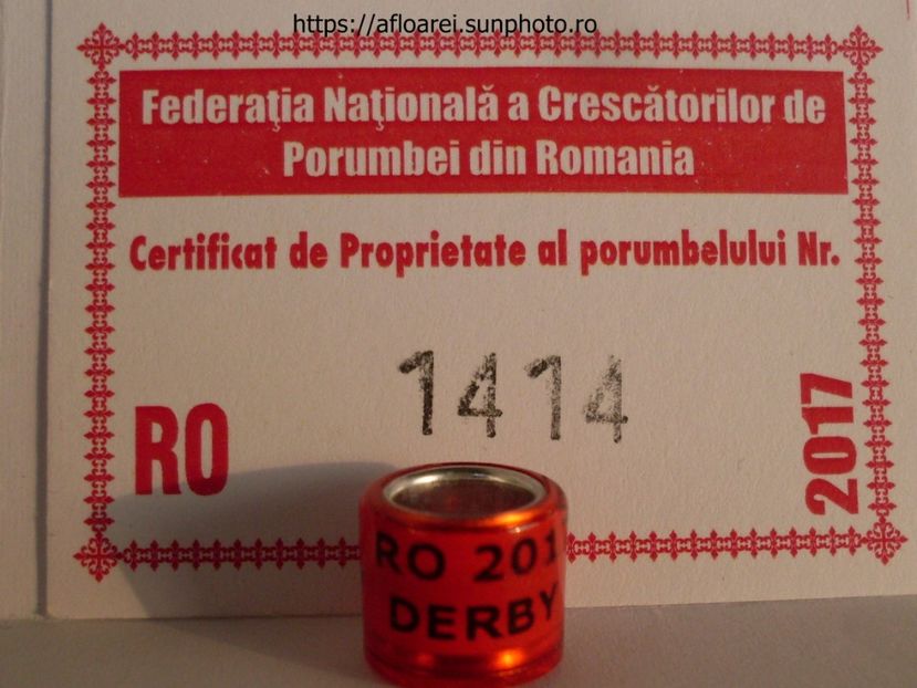 ro 2017 derby - ROMANIA
