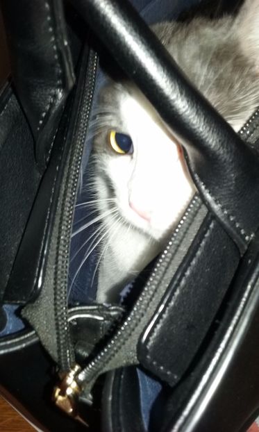 Sper sa nu ma vada nimeni... - ELSA