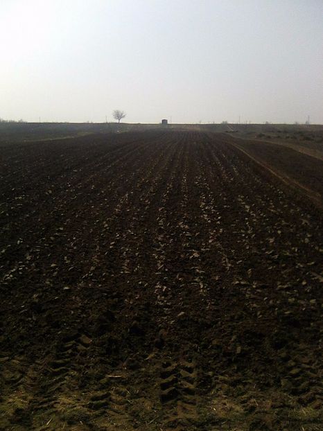 arat pt cartof 2017 - legumicultura --ocupatia mea