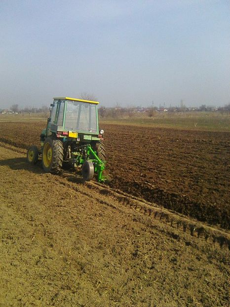 Photo0704 - legumicultura --ocupatia mea