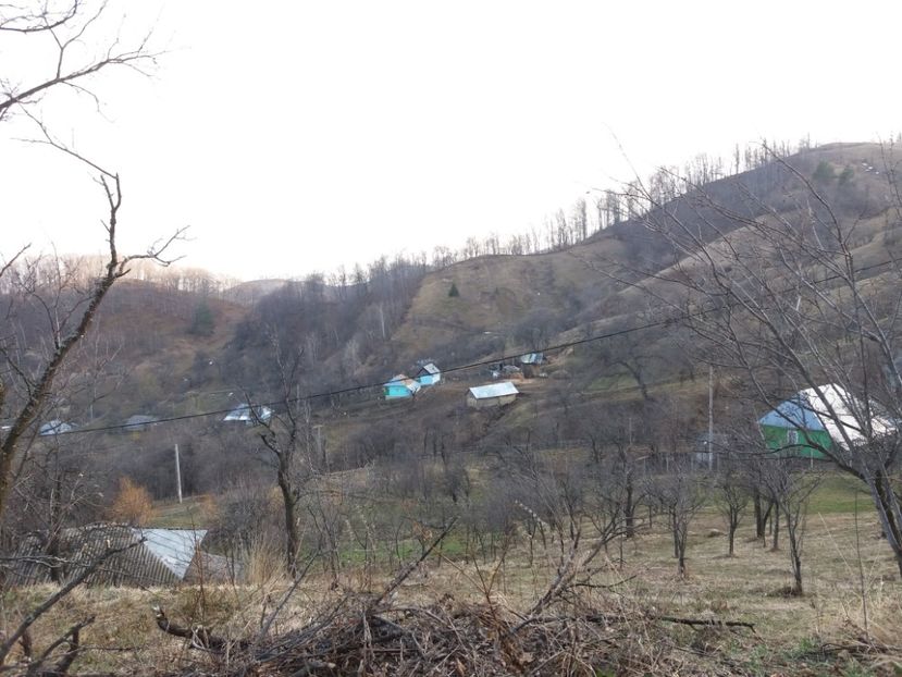  - Satul Hotaru Satul bunicilor