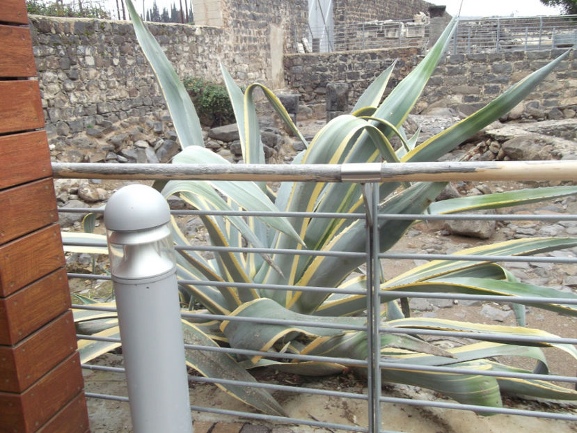 tara sfanta 264 - a doua zi de pelerinaj