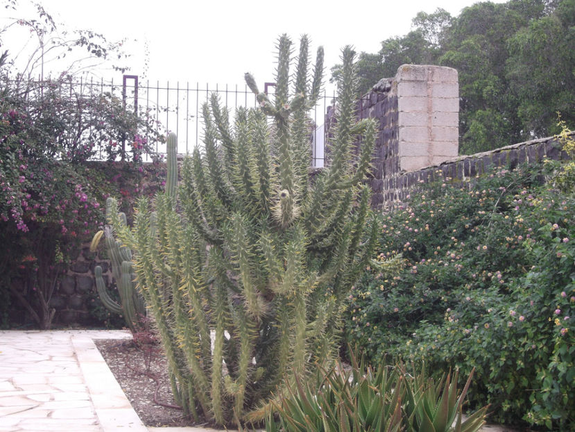 tara sfanta 265 - a doua zi de pelerinaj