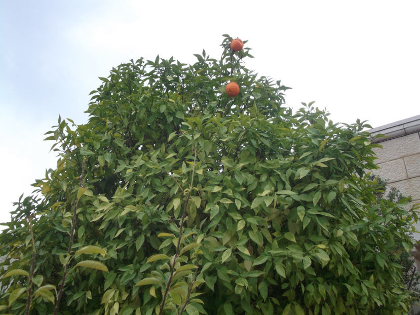 tara sfanta 274 - a doua zi de pelerinaj