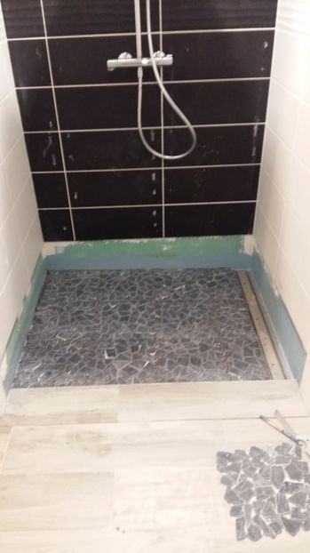  - Photo lucrarile mele in Lyon