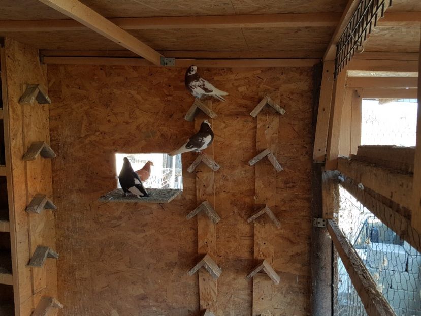  - Matca Rolleri 2017