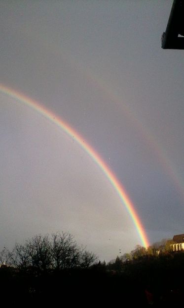 Curcubee 3.03 - Imagini din natura