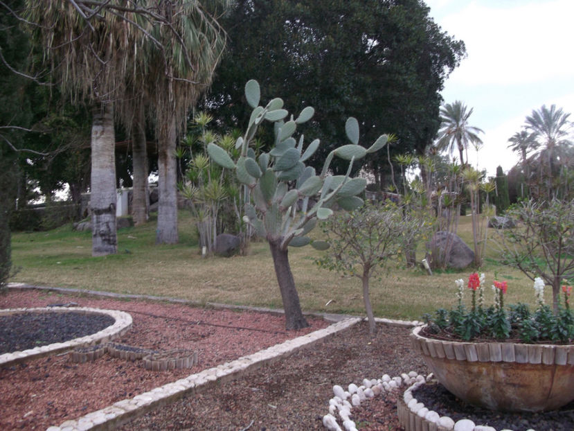 tara sfanta 280 - a doua zi de pelerinaj