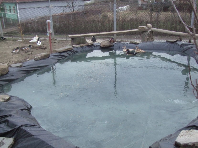  - Rate Caroline Standard