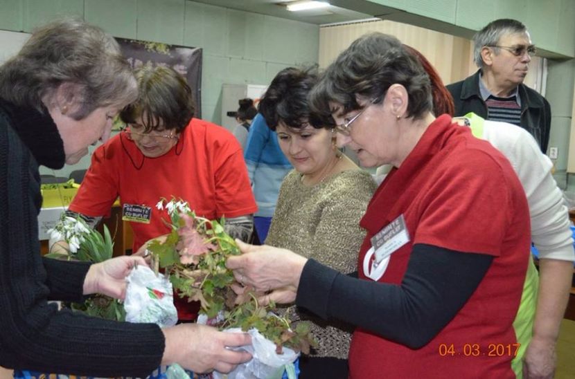  - Piata Seminte cu Suflet Deva -4 martie 2017