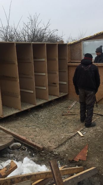  - 4 Cotet si voliera 2017