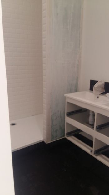  - Photo lucrarile mele in Lyon