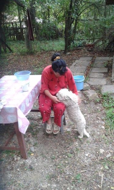 EU CU MIKY - EU CU  NELU LA TARA