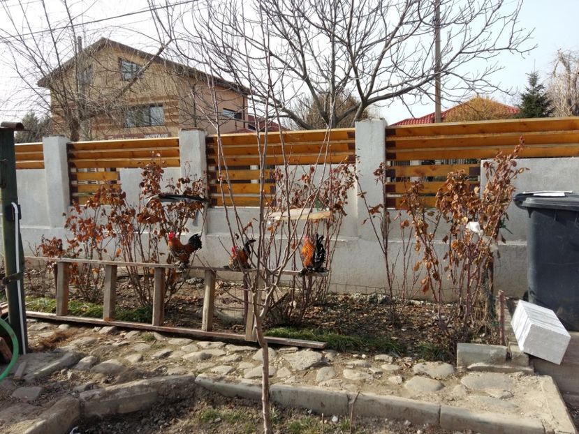  - 2017 Mii de flori portelan