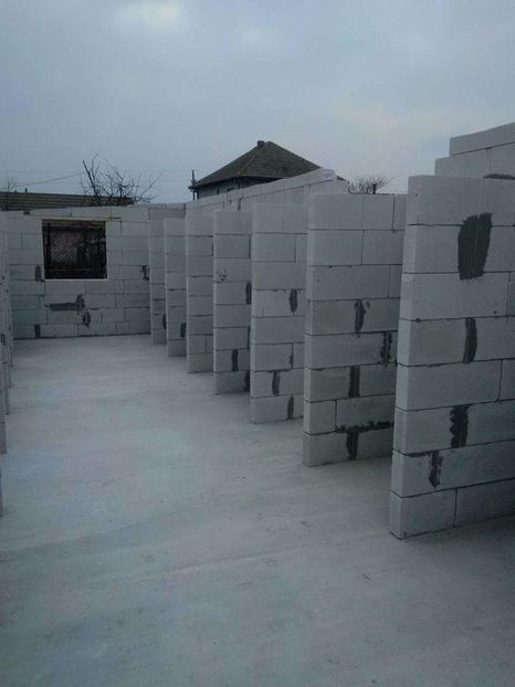  - AAA NOUL ADAPOST PENTRU IEPURI