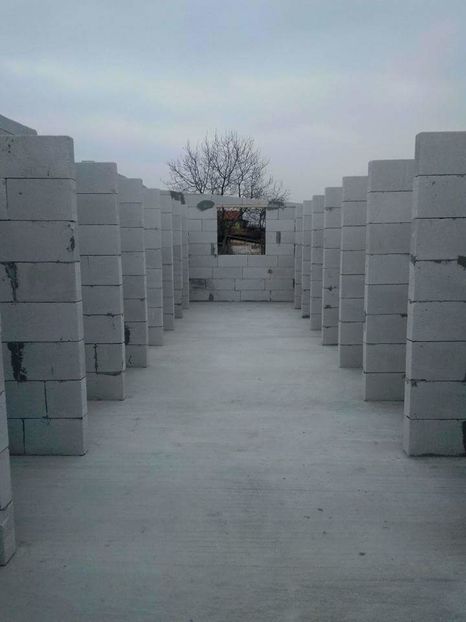  - AAA NOUL ADAPOST PENTRU IEPURI