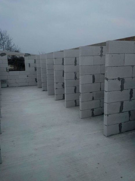  - AAA NOUL ADAPOST PENTRU IEPURI