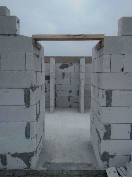  - AAA NOUL ADAPOST PENTRU IEPURI