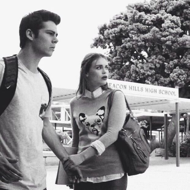 large (10) - holland roden