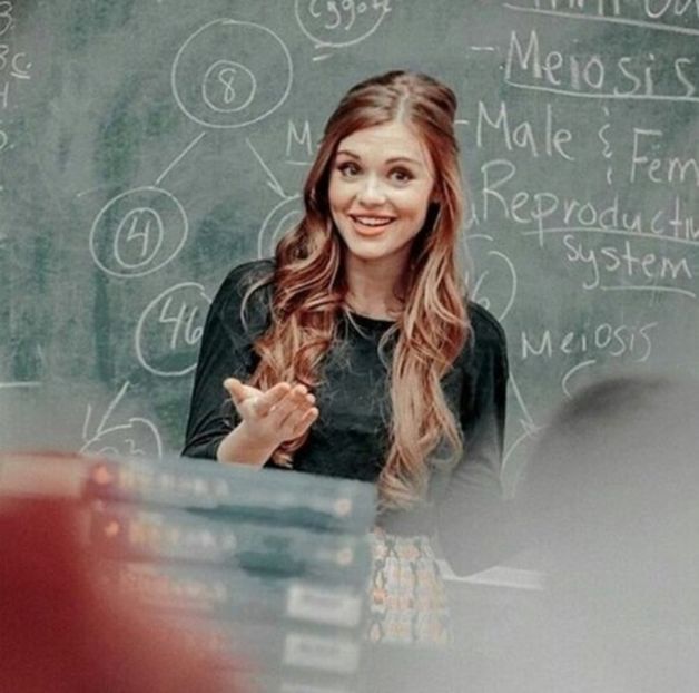 large (12) - holland roden