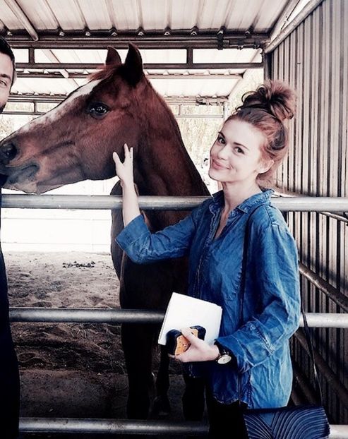 large (34) - holland roden