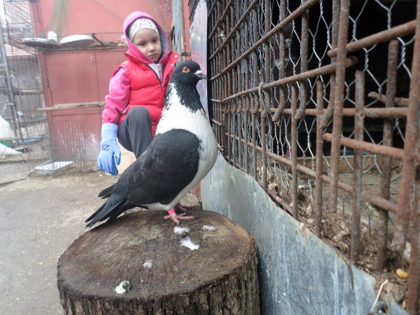 nepotul meu - ARHIVA 2016 -2017-2o18-2019-2020