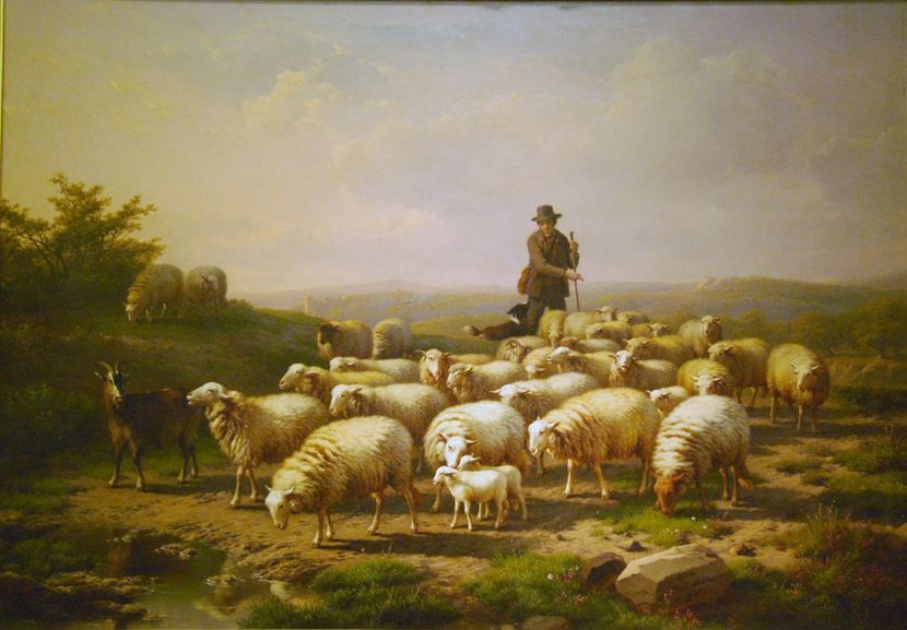 257 - Nou----- Tablouri pe panza