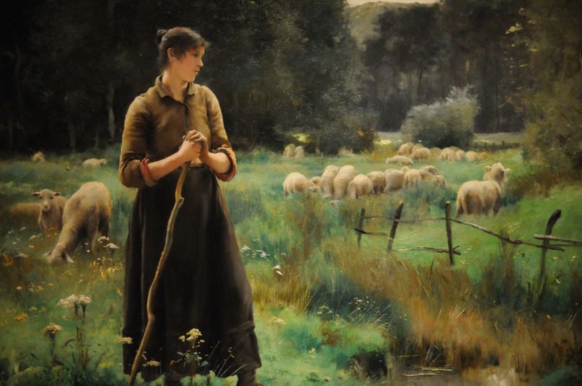 270 - Nou----- Tablouri pe panza