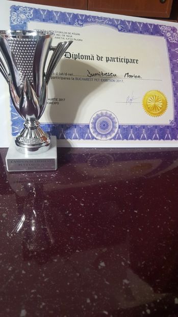  - Rezultatele Otopeni 2017-2018