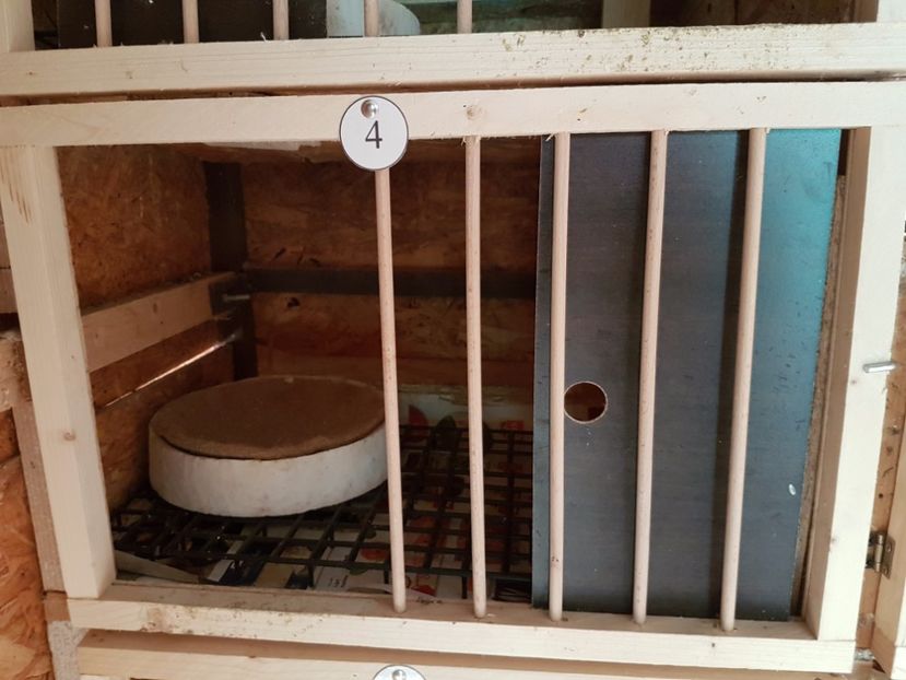  - 7___   VOLIERA MEA