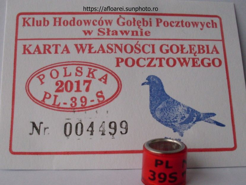 PL 39 S 17 - POLONIA 39-S