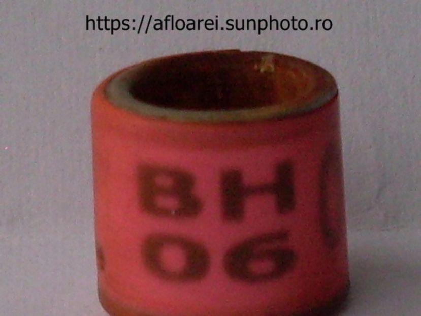 BH 06 - BOSNIA HERTEGOVINA-BIH