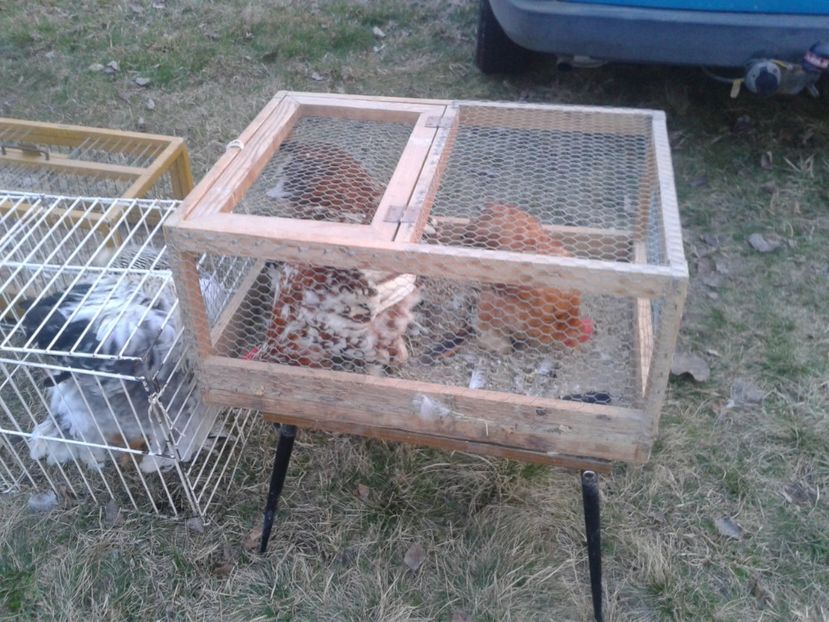 Fotografie0019 - 19 --- targ monor 12 03 2017