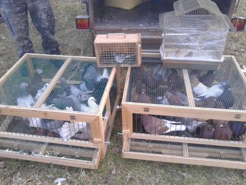 Fotografie0028 - 19 --- targ monor 12 03 2017