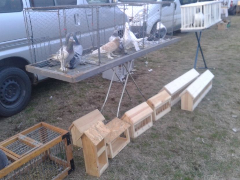 Fotografie0041 - 19 --- targ monor 12 03 2017