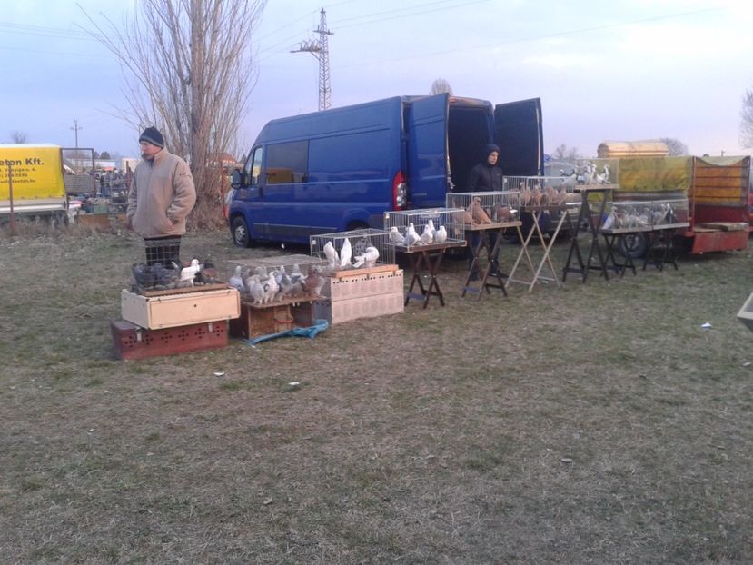 Fotografie0042 - 19 --- targ monor 12 03 2017