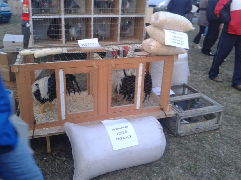 Fotografie0050 - 19 --- targ monor 12 03 2017