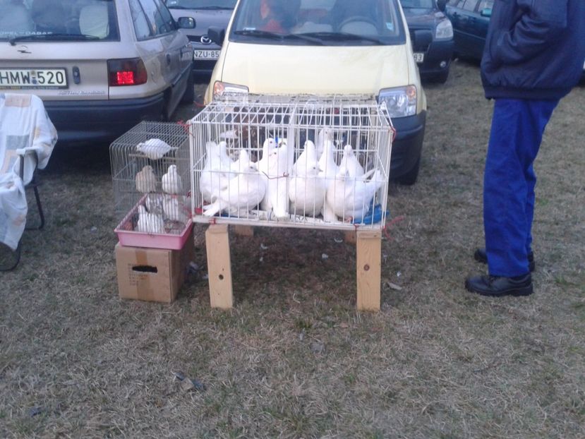 Fotografie0051 - 19 --- targ monor 12 03 2017