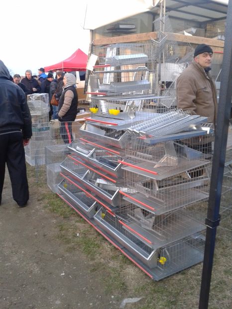 Fotografie0074 - 19 --- targ monor 12 03 2017