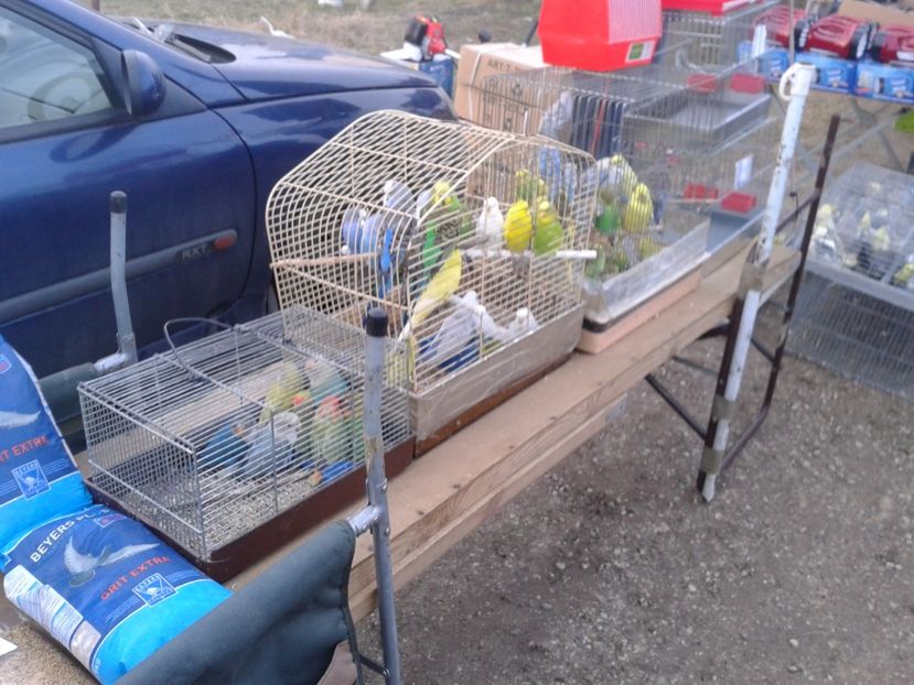 Fotografie0075 - 19 --- targ monor 12 03 2017