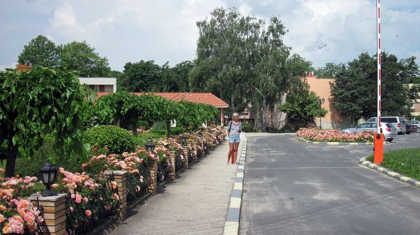 In Jupiter - 2016 16