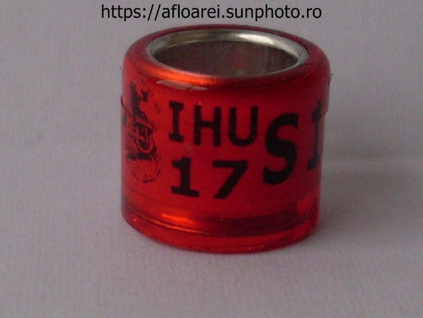 ihu 17 S - IRLANDA SUD