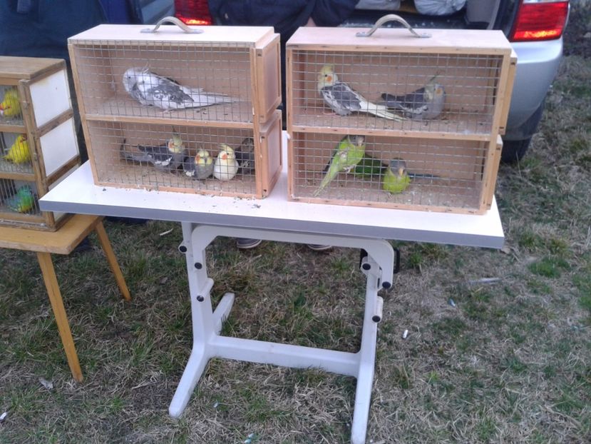 Fotografie0107 - 19 --- targ monor 12 03 2017