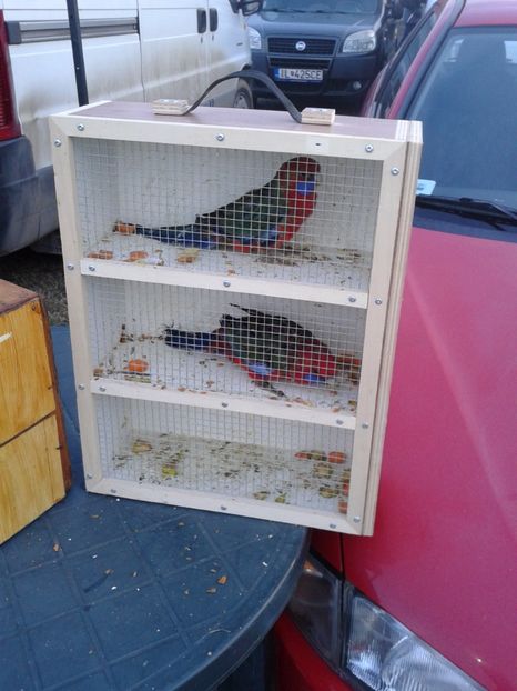 Fotografie0121 - 19 --- targ monor 12 03 2017