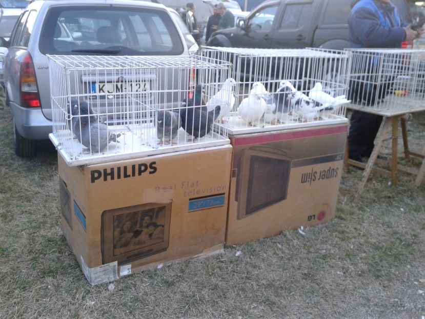 Fotografie0159 - 19 --- targ monor 12 03 2017