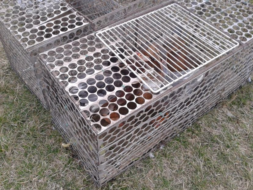 Fotografie0163 - 19 --- targ monor 12 03 2017