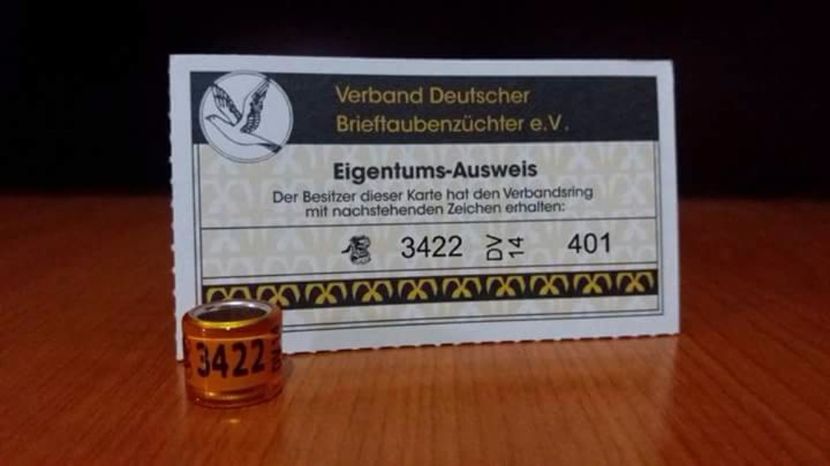  - Inele Germania - 52 piese