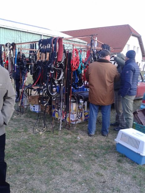 Fotografie0206 - 19 --- targ monor 12 03 2017